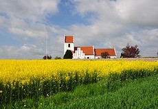 kirke og gul mark