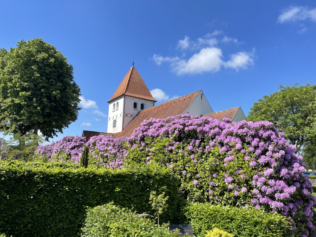 Grøn kirke med rhododendron